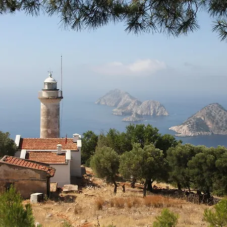 Beyaz Nar Holiday Houses 펜션 Çıralı