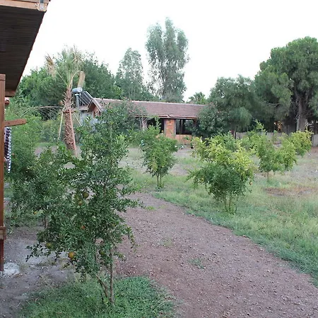 펜션 Beyaz Nar Holiday Houses Çıralı